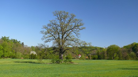 Babiččino údolí